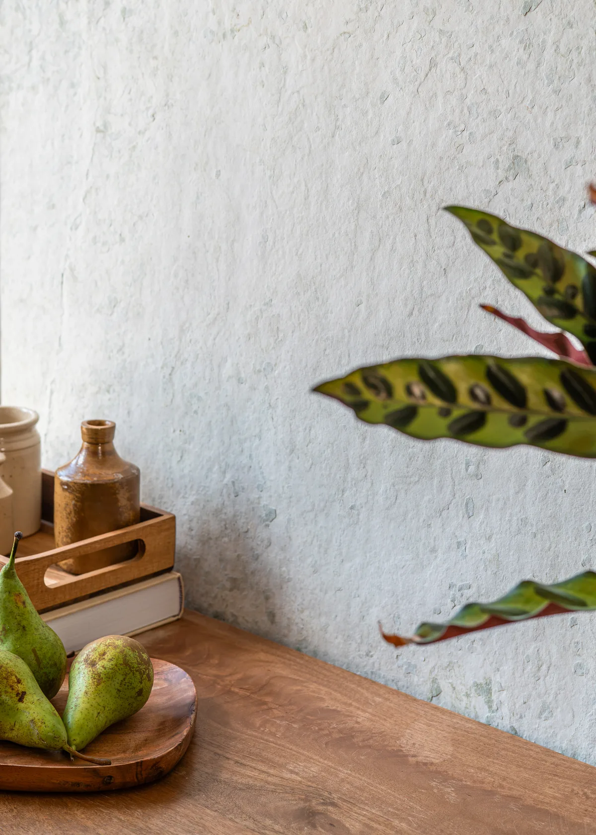 Morning Dove stone veneer, wall scale view